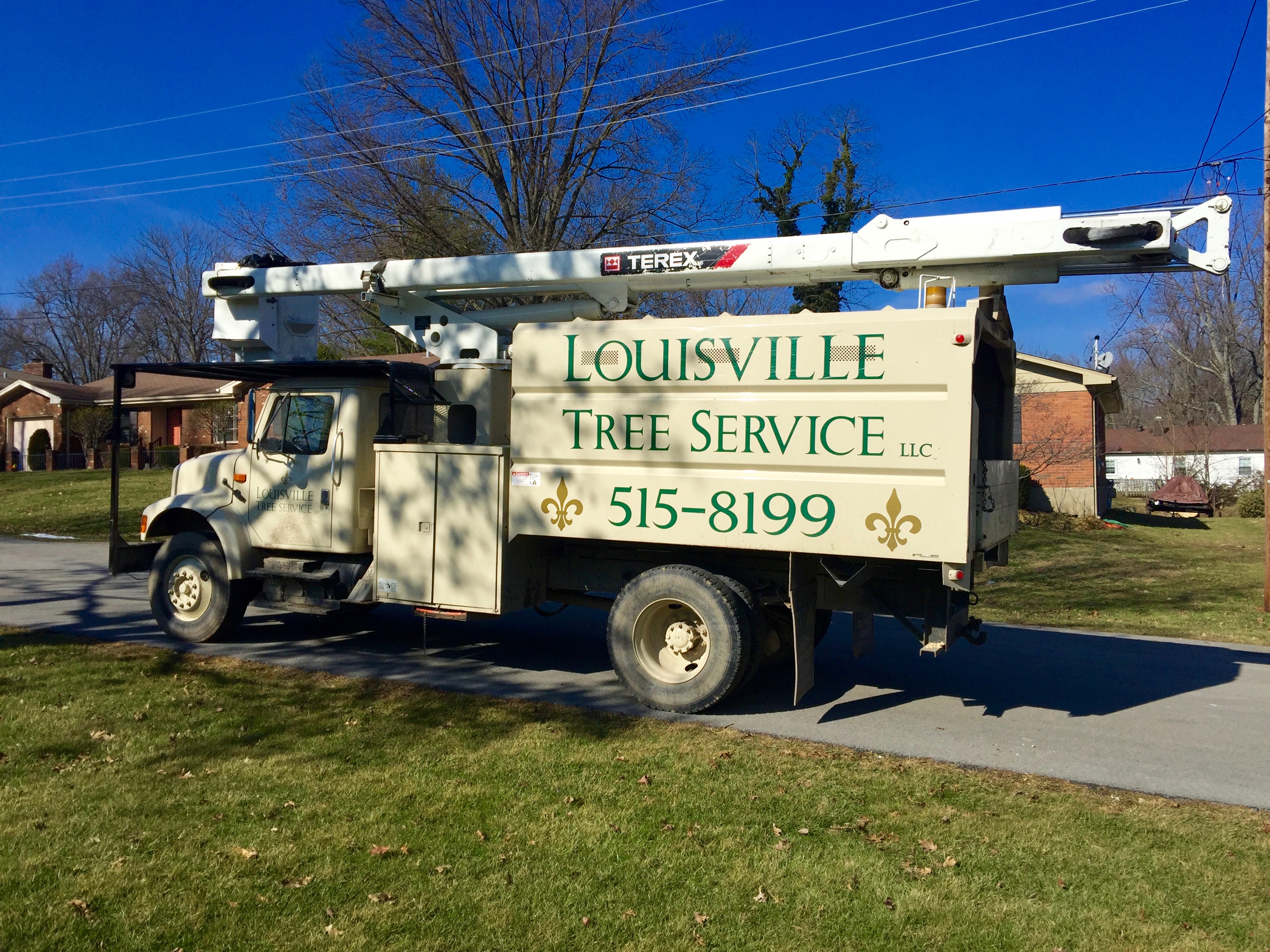 Louisville Shrub Removal